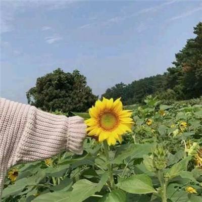 破军天下bt版手游下载